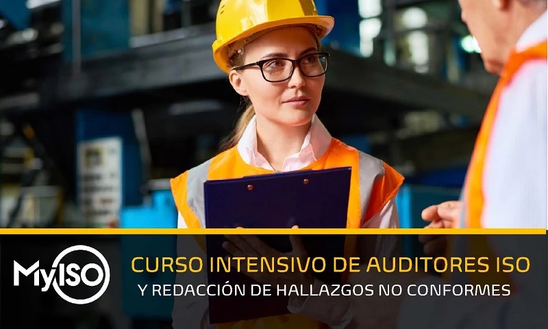 Auditores ISO 19011